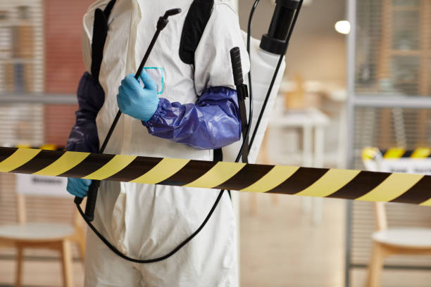 Professional Sewage Cleanup technician working in Falmouth, VA